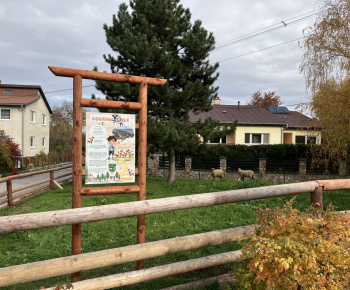 Projekty a dotácie / Ovce pre Bohdanovce - foto