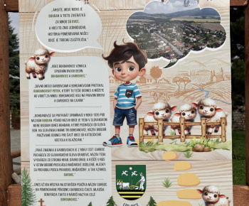 Projekty a dotácie / Ovce pre Bohdanovce - foto