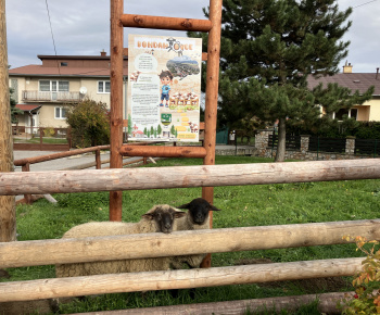 Projekty a dotácie / Ovce pre Bohdanovce - foto