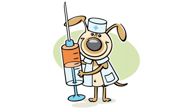 Očkovanie psov - 9.9.2023 od 8:00 do 10:00