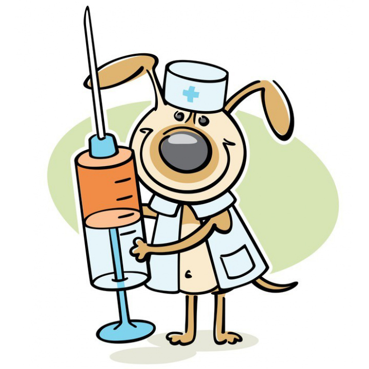 Očkovanie psov - 9.9.2023 od 8:00 do 10:00